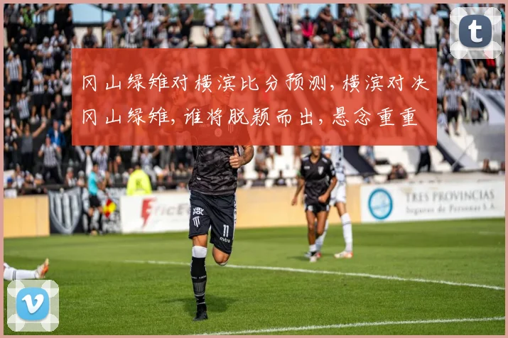 冈山绿雉对横滨比分预测,横滨对决冈山绿雉,谁将脱颖而出,悬念重重